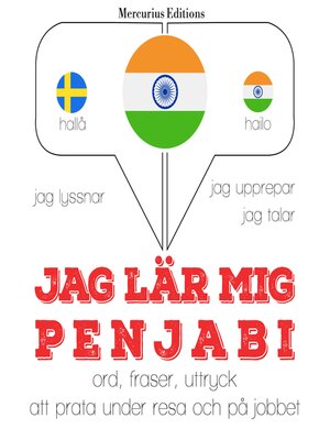 cover image of Jag undervisar penjabi